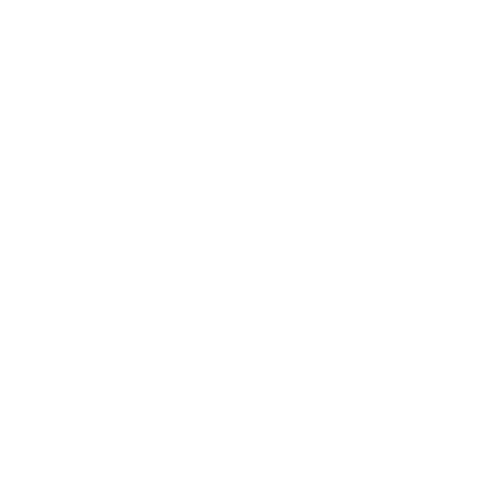 Flux Clinic Logo - White